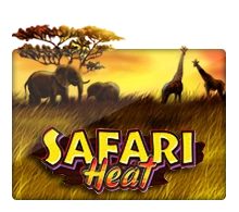 Joker123 : Safari Heat - ADUGAMING