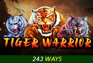 Spadegaming : Tiger Warrior - ADUGAMING