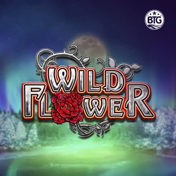 Bigtime : Wild Flower - ADUGAMING