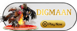 Digman - ADUGAMING